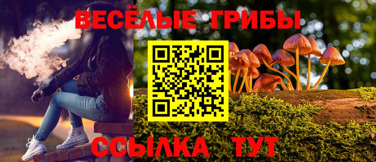 Кашира  Галлюциногенные грибы мицелий  Вход с VPN 