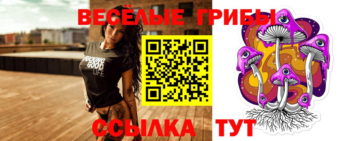 Галлюциногенные грибы GOLDEN TEACHER Кашира