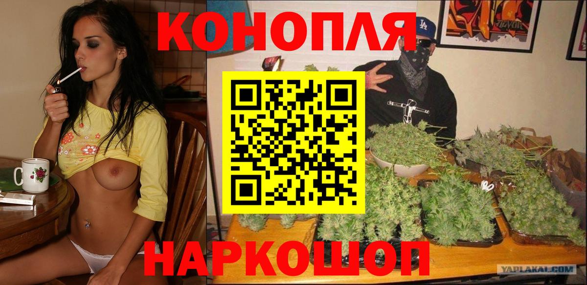 Шишки марихуана марихуана  Вход с VPN  Кашира  Каннабис планчик  Бошки Шишки SATIVA & INDICA 